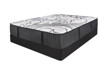 Shasta Pro Plush Mattress