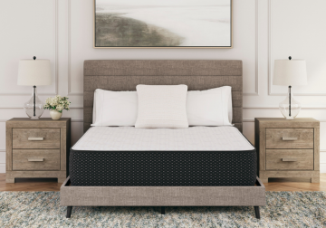 Limited Edition Plush Full Mattress Set