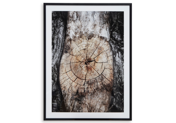 Freyburn Wall Art - Image 4
