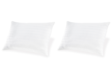 Zephyr 2.0 White Cotton Pillow (Set of 2)