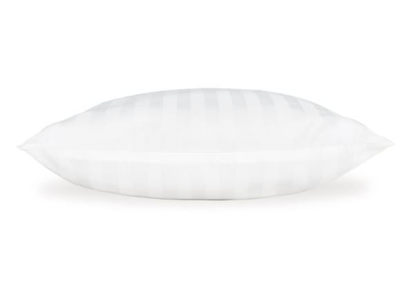 Zephyr 2.0 White Cotton Pillow (Set of 2) - Image 4