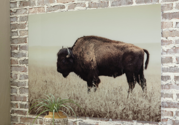 Brutus Wall Art