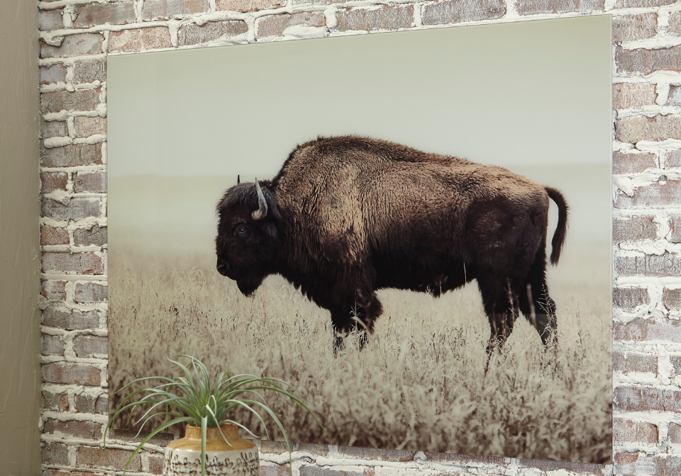 Brutus Wall Art