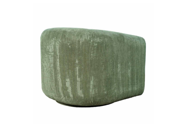 Biggs Forest Swivel Chair - Image 3