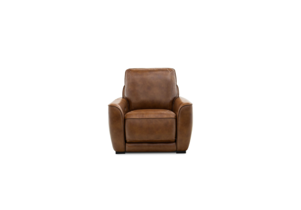 Blakely Honey Power Recliner - Image 5