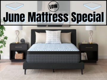 Mattress Special- Destin Cove Firm Mattress